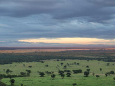 Going With the Flow in Uganda Uganda Parks