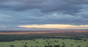 Going With the Flow in Uganda Uganda Parks