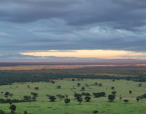 Going With the Flow in Uganda Uganda Parks