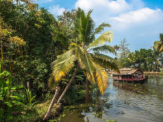 Carefree in Kerala Kerala India