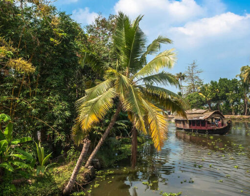 Carefree in Kerala Kerala India