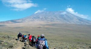 Climbing Kilimanjaro – Rock Climbing to Shira Camp Kilimanjaro Trekking