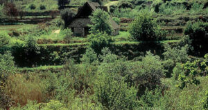 Cyrus: Lost on Aphrodite’s island Visit Cyprus