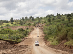 5 Reasons Why You Should Take a Safari to Uganda Uganda Road Trip