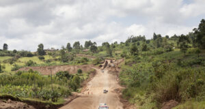 5 Reasons Why You Should Take a Safari to Uganda Uganda Road Trip