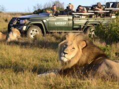 Go on a Safari in South Africa’s Big Game Parks Game Viewing Safari in South Africa