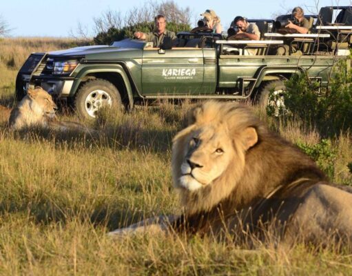 Go on a Safari in South Africa’s Big Game Parks Game Viewing Safari in South Africa