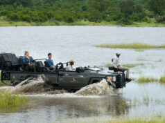 The Cheetah Plains: A Big Five Bonanza! Cheetah Plains of Sabi Sands