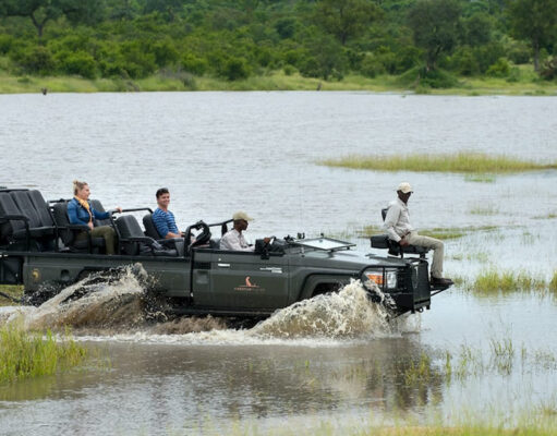 The Cheetah Plains: A Big Five Bonanza! Cheetah Plains of Sabi Sands