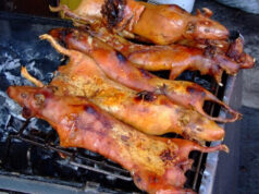 Trying Different Cuisines on Your Travels Roasted Guinea Pigs