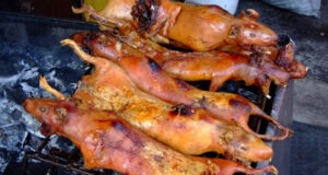 Trying Different Cuisines on Your Travels Roasted Guinea Pigs