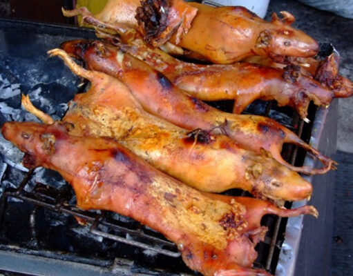 Trying Different Cuisines on Your Travels Roasted Guinea Pigs