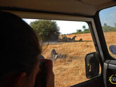 A journey Through Northern Botswana Botswana Safari