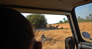 A journey Through Northern Botswana Botswana Safari