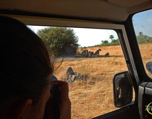 A journey Through Northern Botswana Botswana Safari