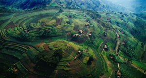 Rwanda, the Land of a Thousand Hills Rwanda Terraced Hills