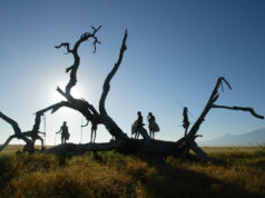 Amboseli Safari