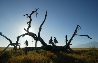 Making Dreams Come True in Kenya Amboseli Safari