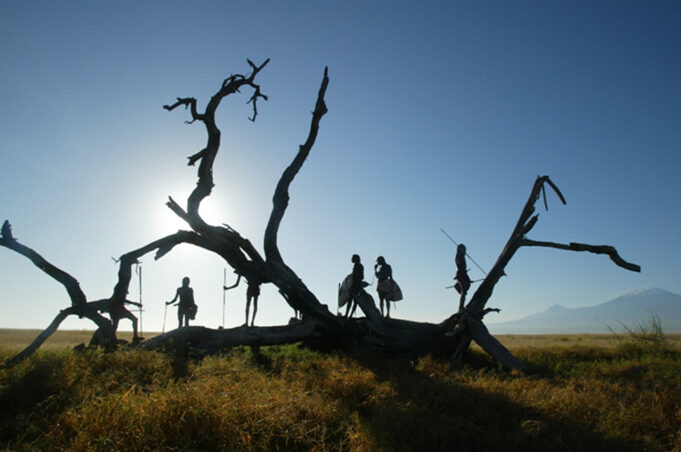 Amboseli Safari