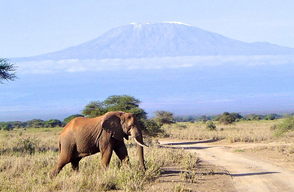 Kilimanjaro Mountain