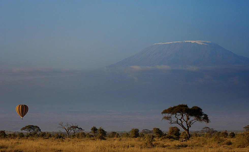 Tanzania Safari