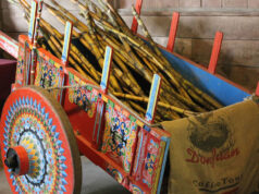 Cruising Costa Rica Costarica Sugarcane