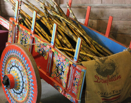 Cruising Costa Rica Costarica Sugarcane