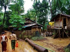 Tattoos & Mangos Tattoos and Mangoes