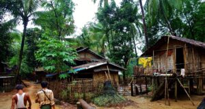 Tattoos & Mangos Tattoos and Mangoes