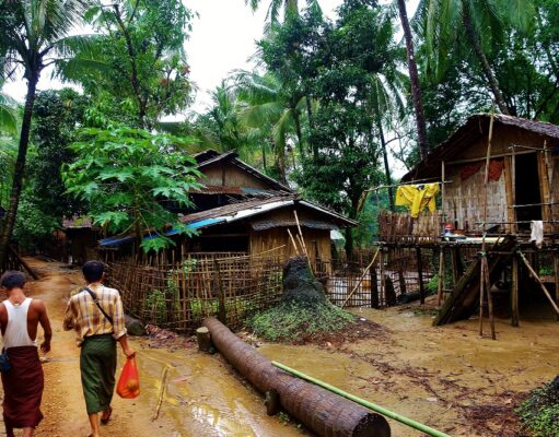 Tattoos & Mangos Tattoos and Mangoes