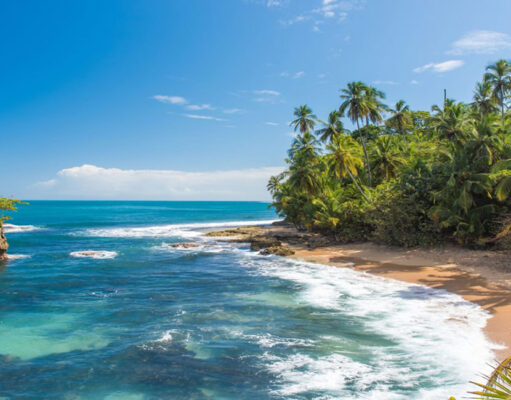 The Beaches of Puerto Viejo in Costa Rica Beaches of Puerto Viejo