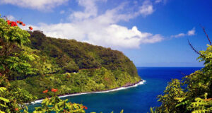 Explore Maui: Tour, Shop, Explore and Dine! Explore Maui