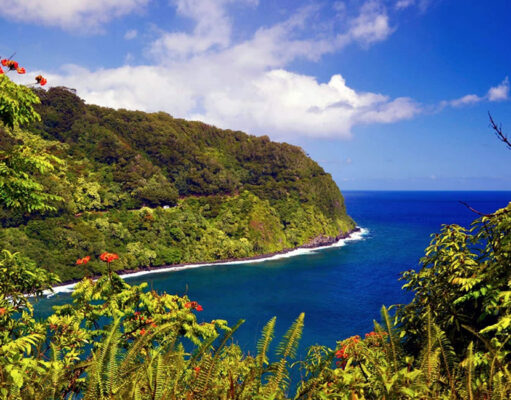 Explore Maui: Tour, Shop, Explore and Dine! Explore Maui