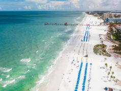 5 Things to See in Tampa Bay Tampa Bay