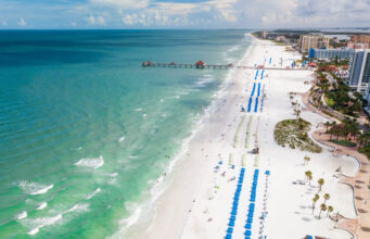 5 Things to See in Tampa Bay Tampa Bay