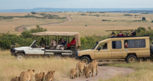 How to Get the Best from Your Tanzania Safari Tanzania Safari