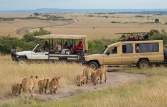 How to Get the Best from Your Tanzania Safari Tanzania Safari