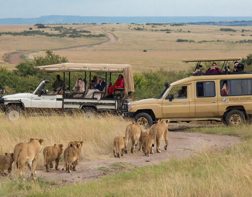 How to Get the Best from Your Tanzania Safari Tanzania Safari