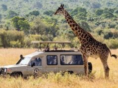 Relaxing and Maxing Out on an African Safari