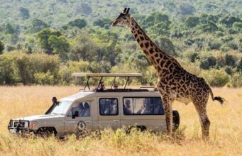 Relaxing and Maxing Out on an African Safari