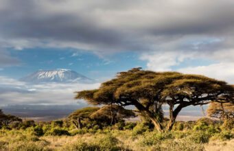 The Ultimate Solo Travel Guide to Tanzania Tanzania Travel Guide