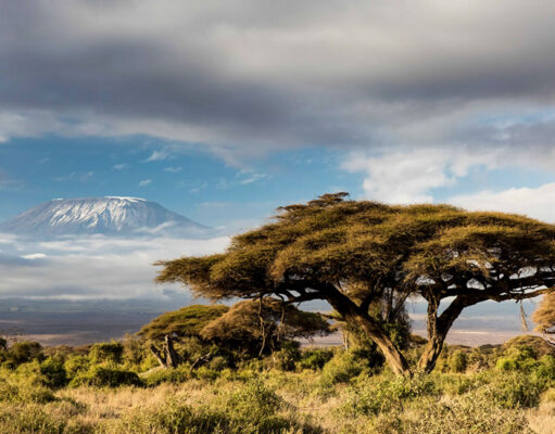 The Ultimate Solo Travel Guide to Tanzania Tanzania Travel Guide