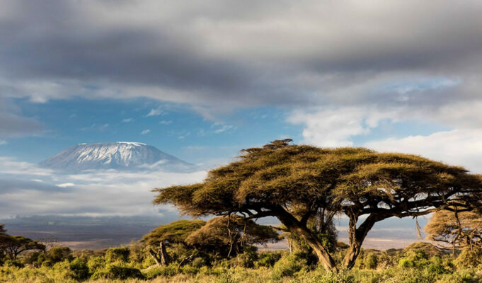 The Ultimate Solo Travel Guide to Tanzania Tanzania Travel Guide