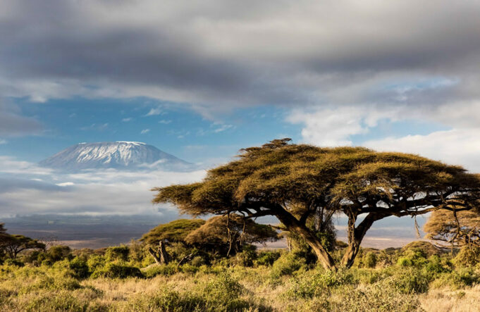 tanzania Tanzania Travel Guide